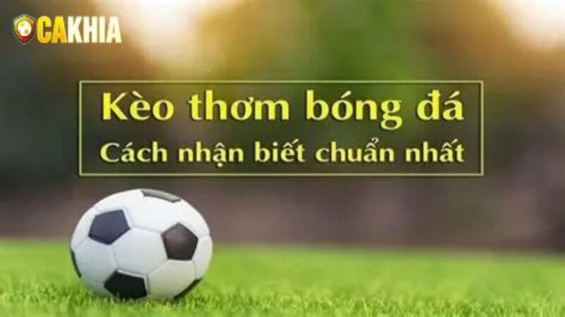 Bí quyết nhận biết kèo thơm trong cá độ bóng đá